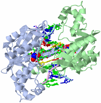 Image Biol. Unit 1 - sites