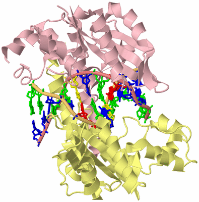 Image Biological Unit 2