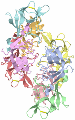 Image Biological Unit 1