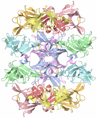 Image Biological Unit 2