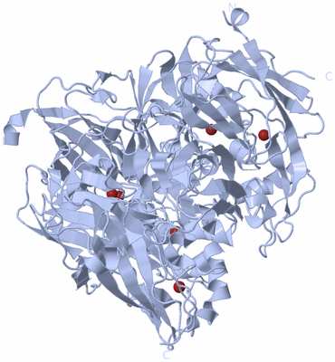 Image Biological Unit 1