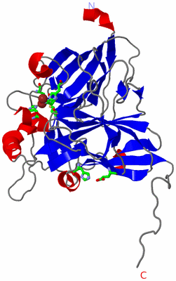 Image Asym. Unit - sites