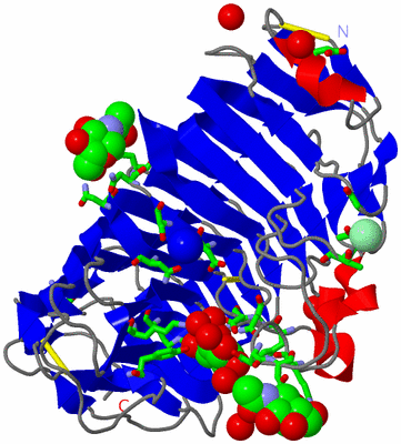 Image Asym./Biol. Unit - sites