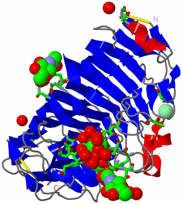 Image Asym./Biol. Unit - sites