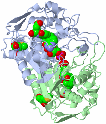 Image Asym./Biol. Unit