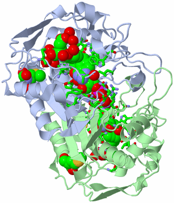 Image Asym./Biol. Unit - sites