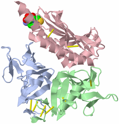 Image Asym./Biol. Unit