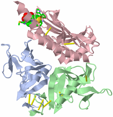 Image Asym./Biol. Unit - sites