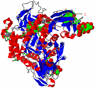 Image Asym./Biol. Unit - sites