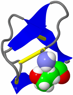 Image NMR Structure - model 1