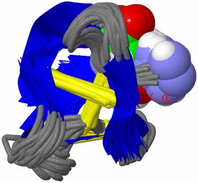 Image NMR Structure - all models