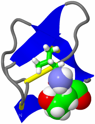 Image NMR Structure - model 1, sites