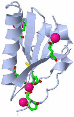 Image Biol. Unit 1 - sites