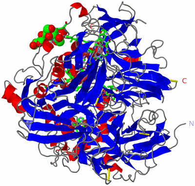 Image Asym./Biol. Unit - sites