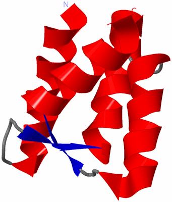 Image NMR Structure - model 1