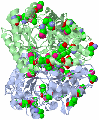 Image Asym./Biol. Unit