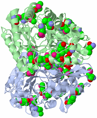 Image Asym./Biol. Unit - sites