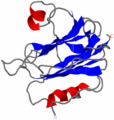 Image NMR Structure - model 1