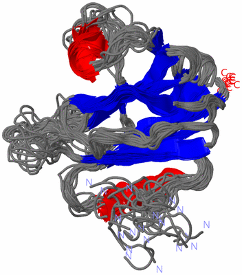 Image NMR Structure - all models