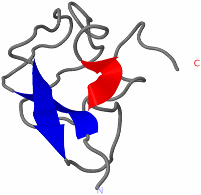 Image NMR Structure - model 1