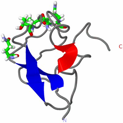 Image NMR Structure - model 1, sites