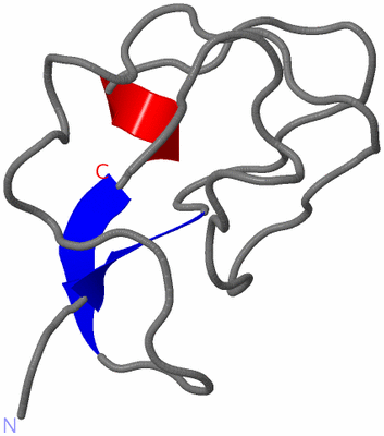 Image NMR Structure - model 1