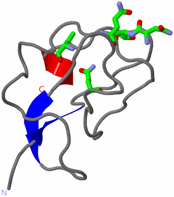 Image NMR Structure - model 1, sites