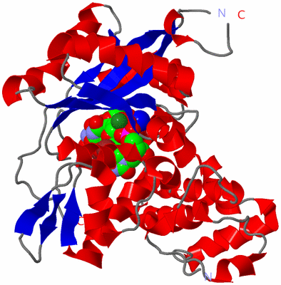 Image Asym./Biol. Unit