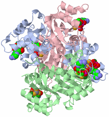 Image Biological Unit 1