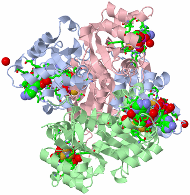 Image Biol. Unit 1 - sites