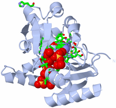 Image Biol. Unit 1 - sites