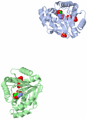 Image Biological Unit 3