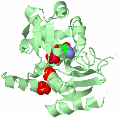 Image Biological Unit 2