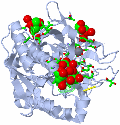 Image Asym./Biol. Unit - sites