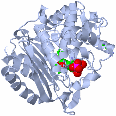 Image Biol. Unit 1 - sites