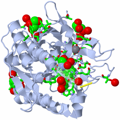 Image Asym./Biol. Unit - sites