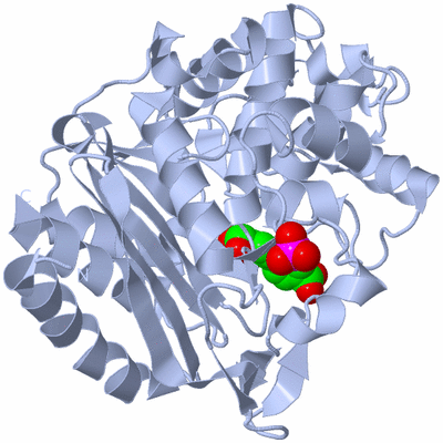 Image Biological Unit 1