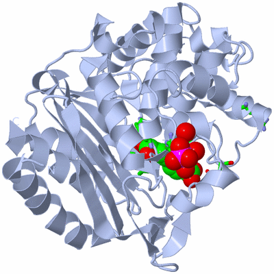 Image Biol. Unit 1 - sites