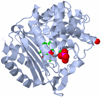 Image Biol. Unit 1 - sites