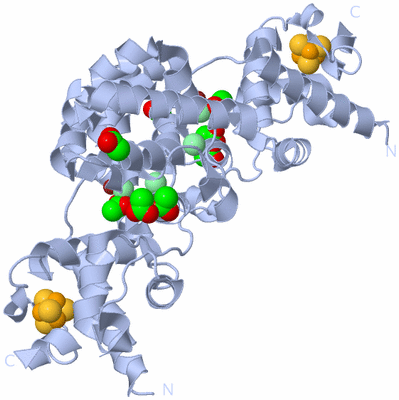 Image Biological Unit 2