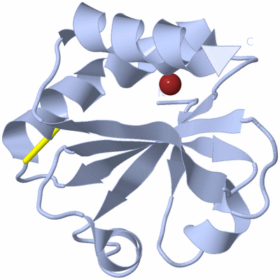 Image Biological Unit 1