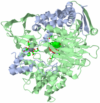 Image Asym./Biol. Unit - sites