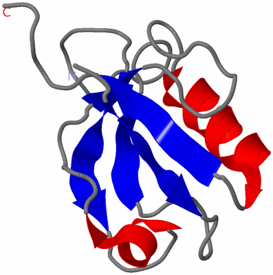 Image NMR Structure - model 1