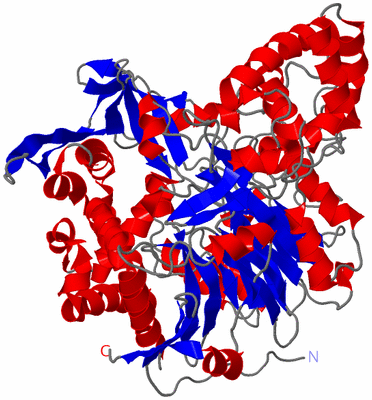 Image Asym./Biol. Unit