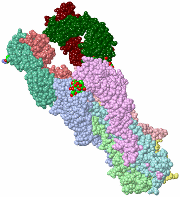 Image Asym./Biol. Unit - sites