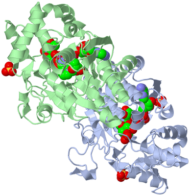 Image Asym./Biol. Unit