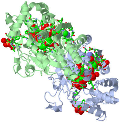 Image Asym./Biol. Unit - sites