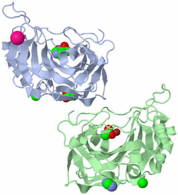 Image Asym./Biol. Unit