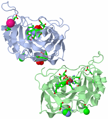 Image Asym./Biol. Unit - sites