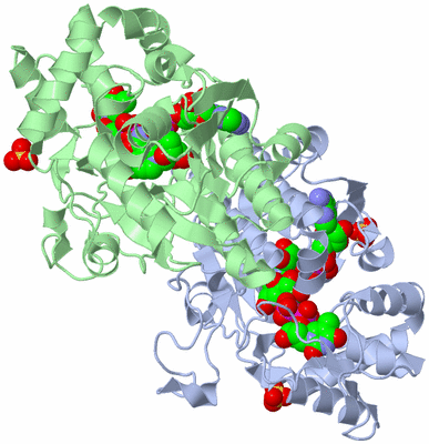 Image Asym./Biol. Unit